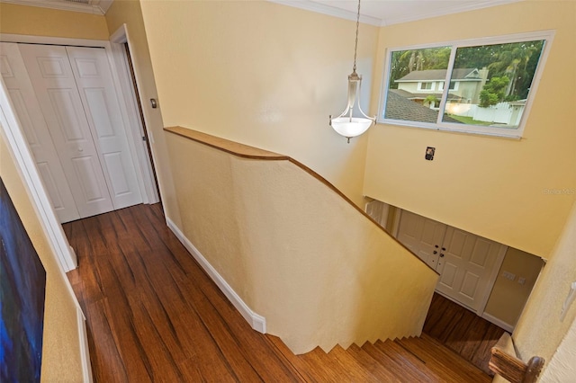 10053 W Bay St, Seminole, FL 33776 - stairway featuring crown molding and wood finished floors