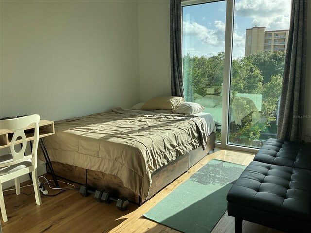 644 3rd Ave S Unit 402, Saint Petersburg, FL 33701 - photo 23