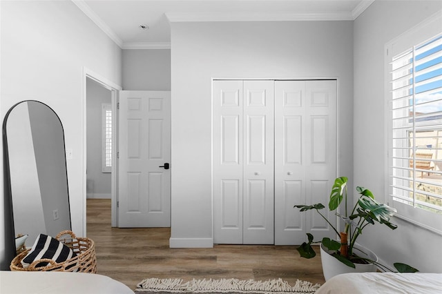 1631 Shady Oaks Dr, Oldsmar, FL 34677 - bedroom with wood finished floors, ornamental molding, multiple windows, and a closet