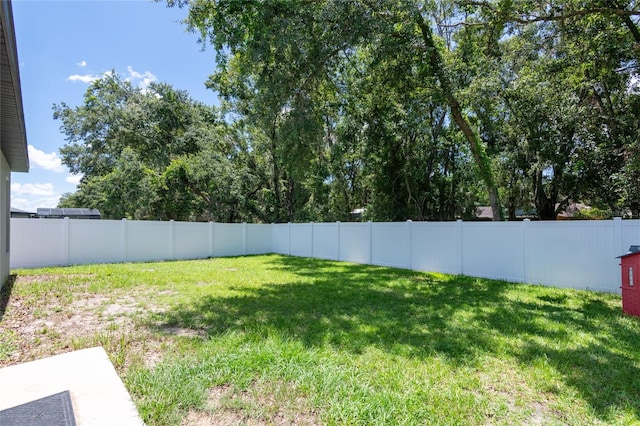 4132 Festival Pointe Blvd, Mulberry, FL 33860 - view of fenced backyard