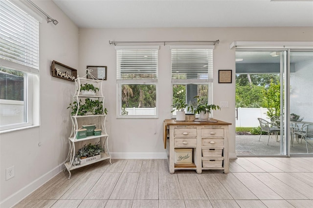 1237 Windy Bay Shl, Tarpon Springs, FL 34689 - entryway with baseboards