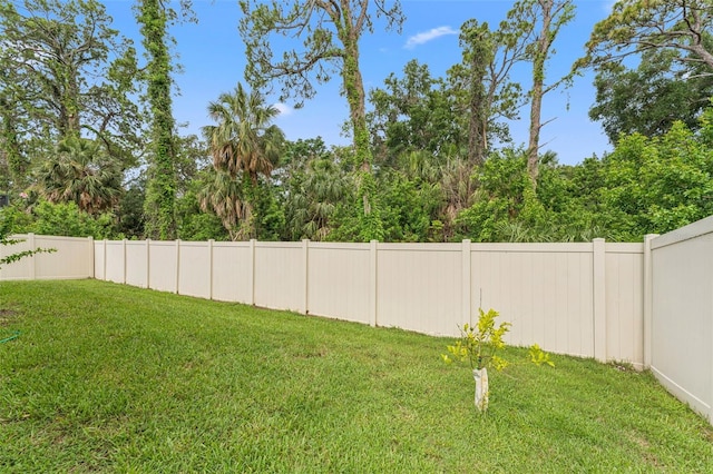 1237 Windy Bay Shl, Tarpon Springs, FL 34689 - view of fenced backyard