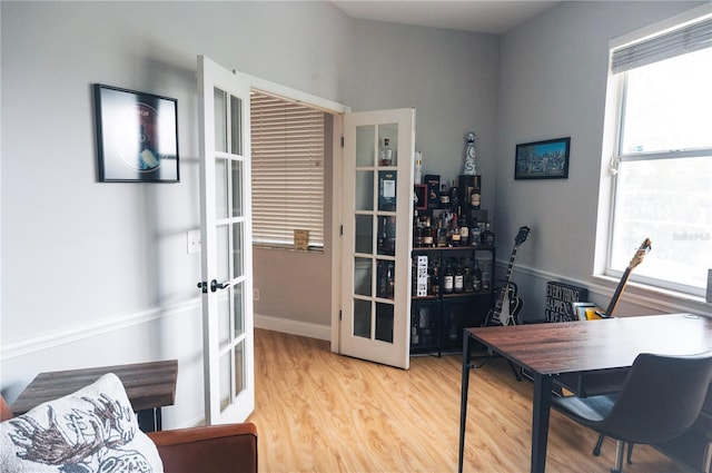 6804 Pleasant Oaks Pl, Riverview, FL 33578 - office area featuring french doors, wood finished floors, and radiator