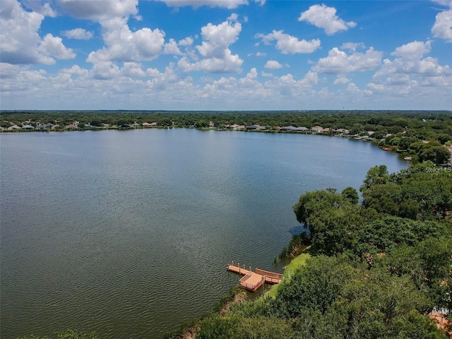 6804 Pleasant Oaks Pl, Riverview, FL 33578 - water view featuring a heavily wooded area
