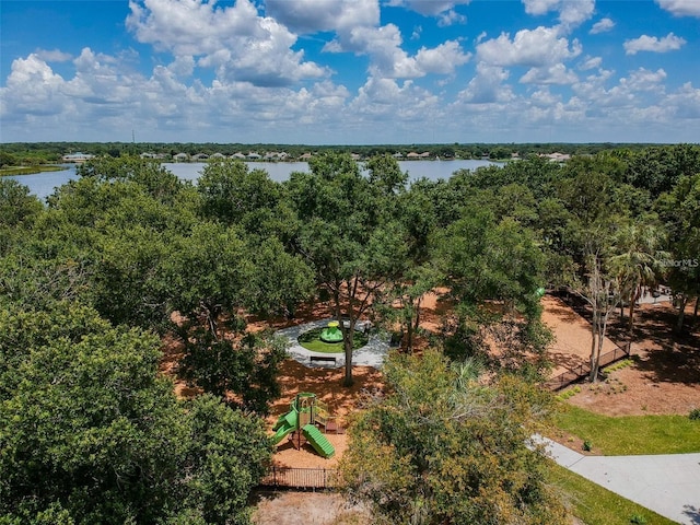 6804 Pleasant Oaks Pl, Riverview, FL 33578 - aerial view of a nearby body of water