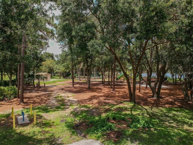 6804 Pleasant Oaks Pl, Riverview, FL 33578 - view of community