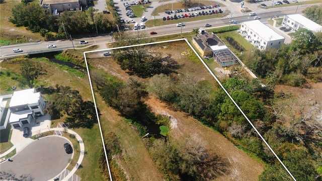 7801 N Manhattan Ave, Tampa, FL 33614 - photo 3