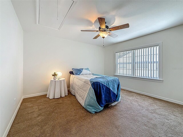 2442 Enterprise Rd Unit 6, Clearwater, FL 33763 - photo 16