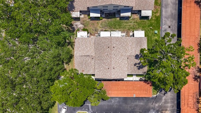 2442 Enterprise Rd Unit 6, Clearwater, FL 33763 - photo 30