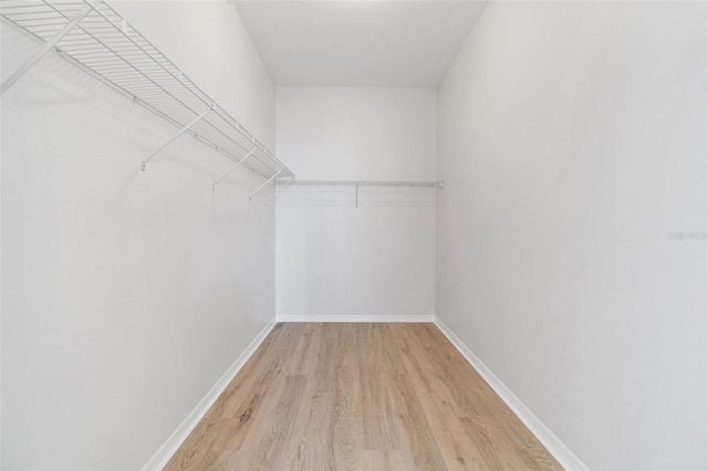 3013 Silvermill Loop Unit O, Land O Lakes, FL 34638 - spacious closet featuring light wood finished floors