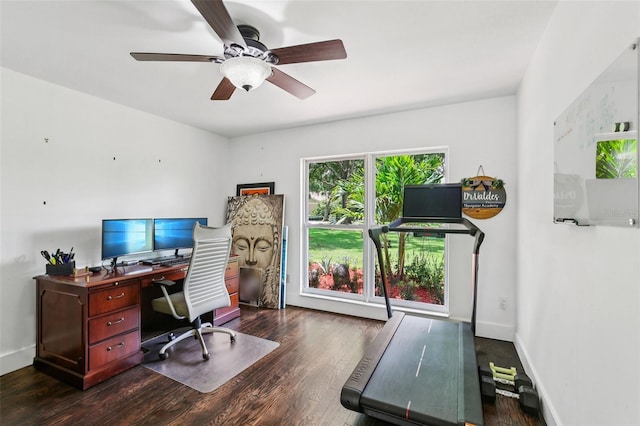 126 Holly Tree Ln, Brandon, FL 33511 - office area featuring ceiling fan and dark wood-type flooring