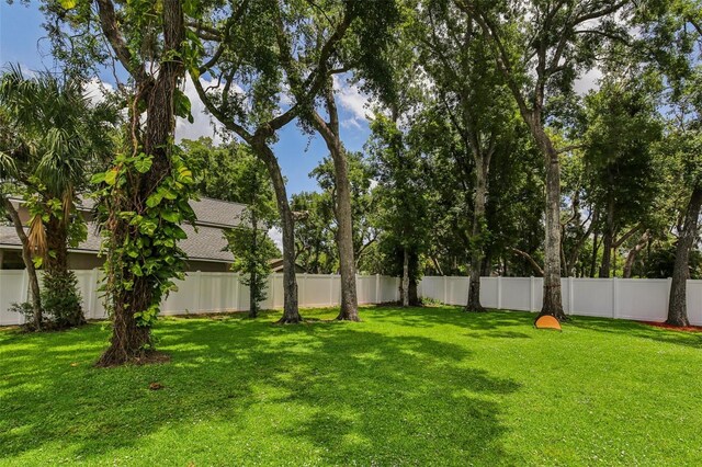 126 Holly Tree Ln, Brandon, FL 33511 - view of yard