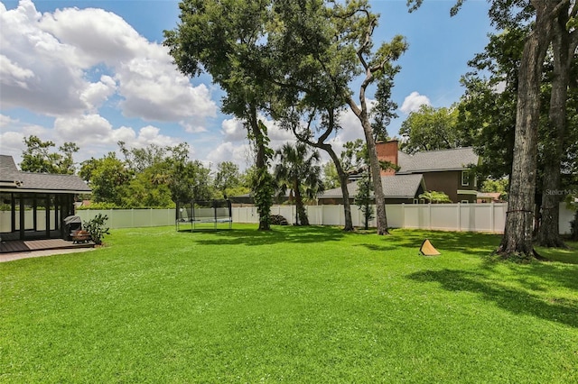 126 Holly Tree Ln, Brandon, FL 33511 - fenced backyard with a trampoline