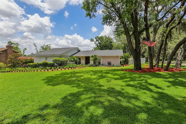 126 Holly Tree Ln, Brandon, FL 33511 - view of front of property featuring a front lawn and stucco siding