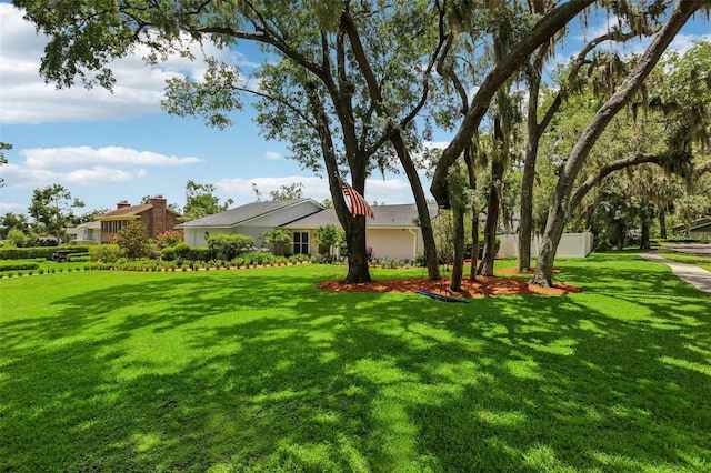 126 Holly Tree Ln, Brandon, FL 33511 - view of green lawn