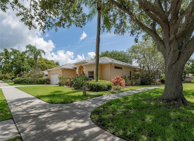 2406 Dana Dr, Safety Harbor, FL 34695 - photo 4