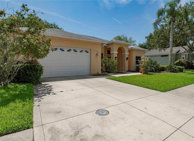 2406 Dana Dr, Safety Harbor, FL 34695 - photo 5