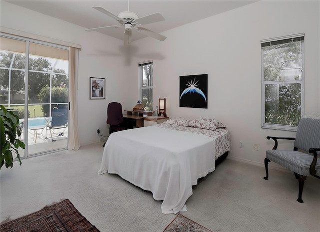 2406 Dana Dr, Safety Harbor, FL 34695 - photo 13