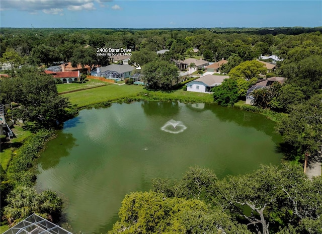 2406 Dana Dr, Safety Harbor, FL 34695 - photo 54