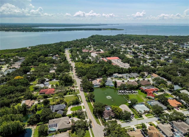 2406 Dana Dr, Safety Harbor, FL 34695 - photo 60