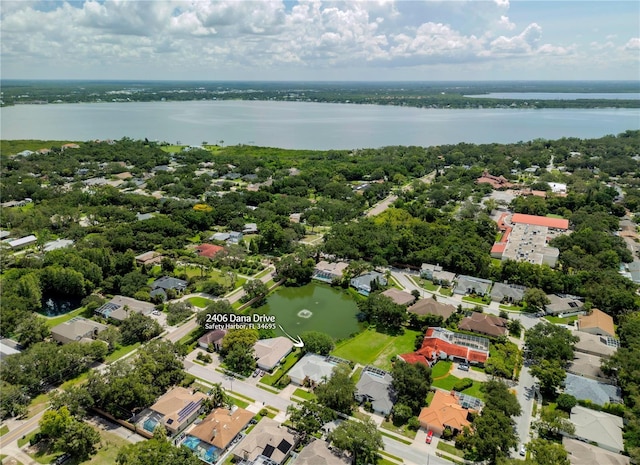 2406 Dana Dr, Safety Harbor, FL 34695 - photo 61