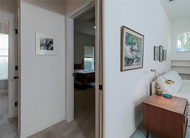 2406 Dana Dr, Safety Harbor, FL 34695 - photo 35