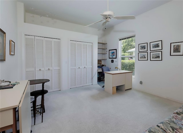 2406 Dana Dr, Safety Harbor, FL 34695 - photo 41