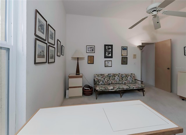2406 Dana Dr, Safety Harbor, FL 34695 - photo 42