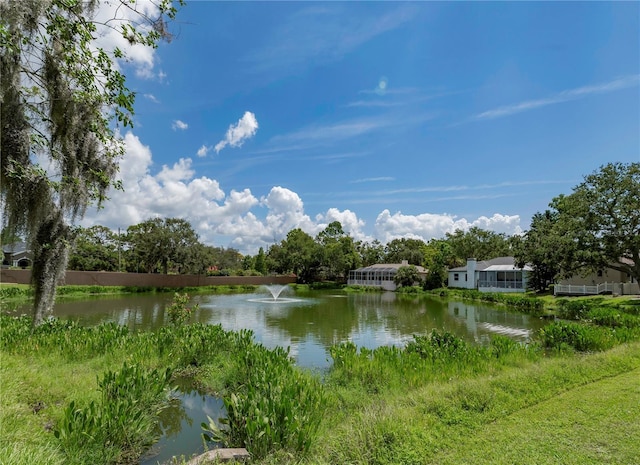 2406 Dana Dr, Safety Harbor, FL 34695 - photo 56