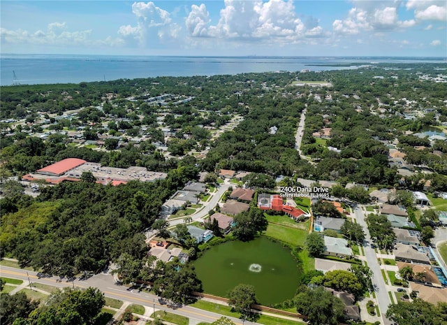 2406 Dana Dr, Safety Harbor, FL 34695 - photo 58