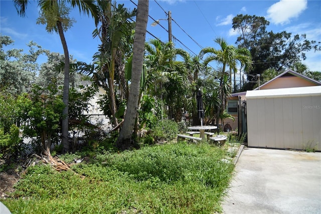 100 94th Ave, Treasure Island, FL 33706 - view of yard