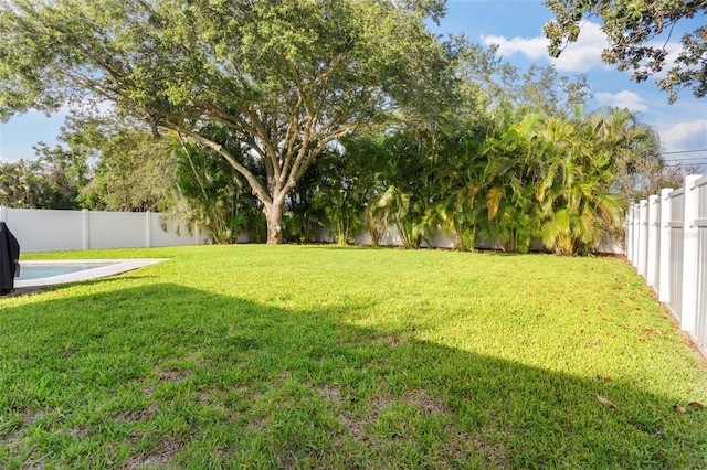 1667 E Orangeside Rd, Palm Harbor, FL 34683 - view of fenced backyard