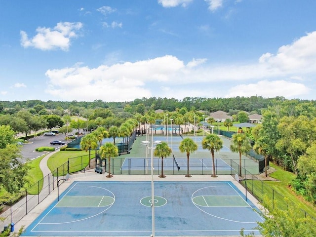30247 Emmetts Ct, Wesley Chapel, FL 33543 - view of basketball court with community basketball court