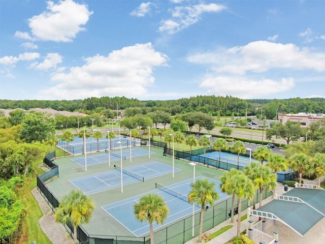 30247 Emmetts Ct, Wesley Chapel, FL 33543 - view of tennis court featuring a wooded view