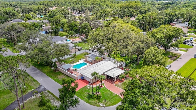 4002 Hudson Ter, Tampa, FL 33618 - bird's eye view of a pool area and a forest