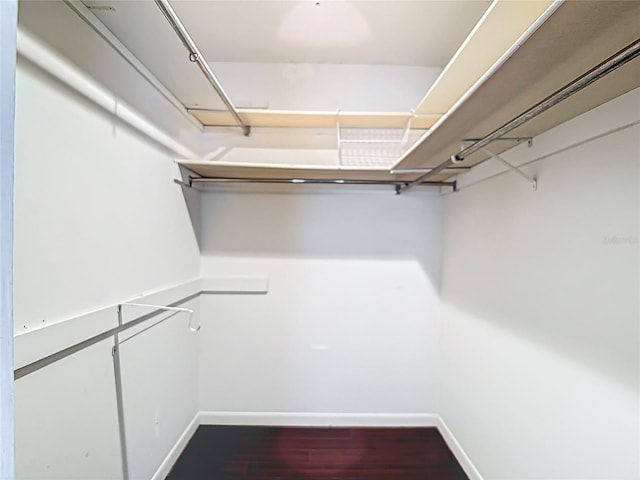 4002 Hudson Ter, Tampa, FL 33618 - walk in closet with wood finished floors
