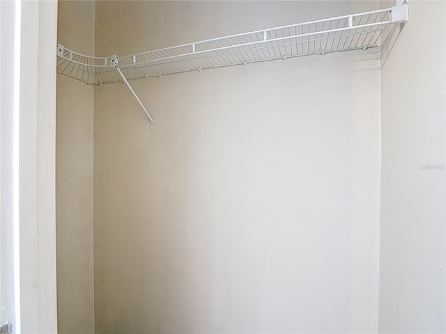 4002 Hudson Ter, Tampa, FL 33618 - view of closet