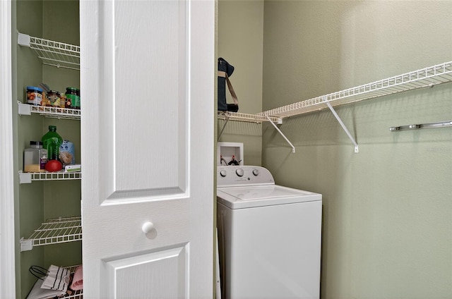 1822 Sassafras Dr, Wesley Chapel, FL 33543 - laundry area with washer / dryer