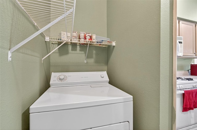 1822 Sassafras Dr, Wesley Chapel, FL 33543 - laundry room with washer / clothes dryer and a textured wall