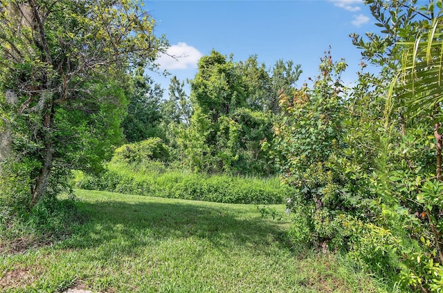 1822 Sassafras Dr, Wesley Chapel, FL 33543 - view of local wilderness