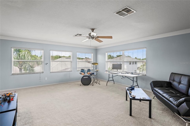 12801 Stanwyck Cir, Tampa, FL 33626 - living area featuring crown molding, a ceiling fan, carpet floors, and a textured ceiling