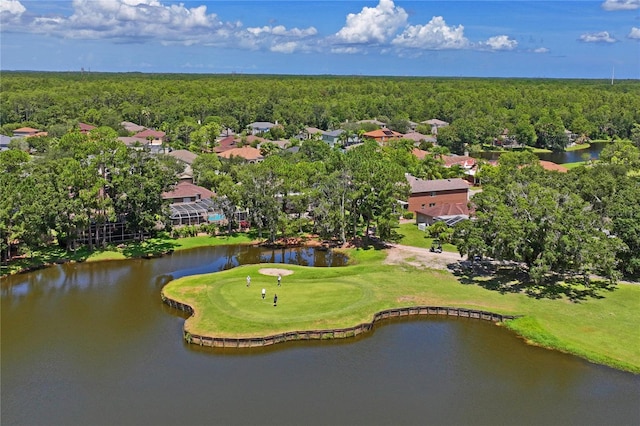 12801 Stanwyck Cir, Tampa, FL 33626 - photo 64