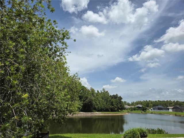 31141 Harthorn Ct, Wesley Chapel, FL 33543 - water view
