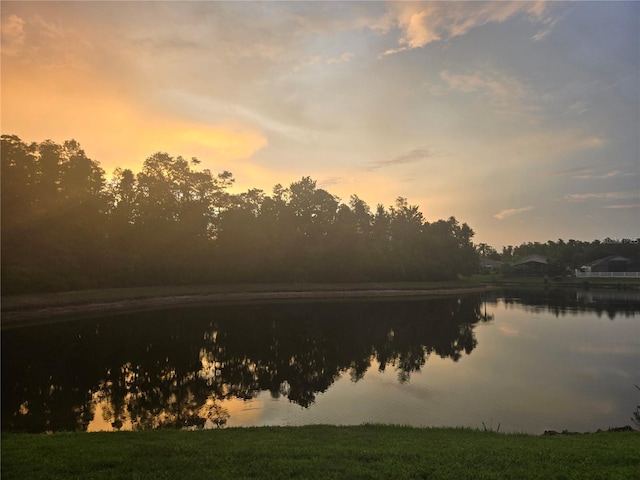 31141 Harthorn Ct, Wesley Chapel, FL 33543 - water view