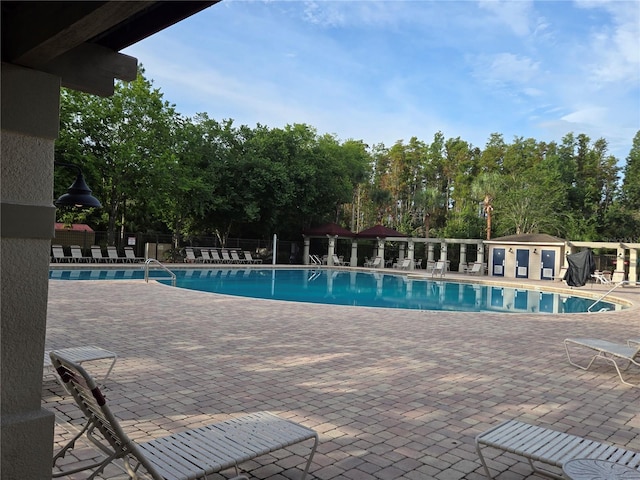 31141 Harthorn Ct, Wesley Chapel, FL 33543 - community pool with a patio and view of wooded area