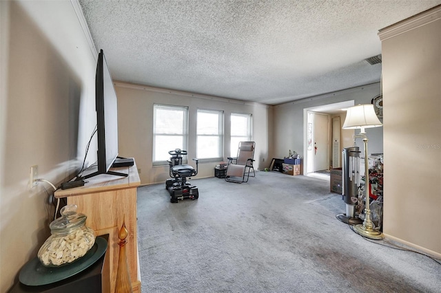 2817 Rustic Oaks Dr, Palm Harbor, FL 34684 - sitting room with a textured ceiling, carpet, and crown molding