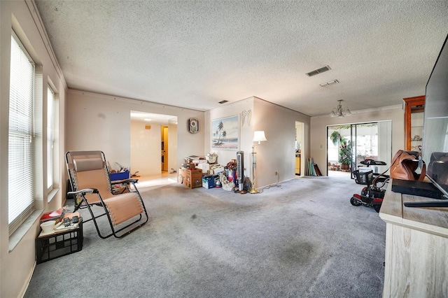 2817 Rustic Oaks Dr, Palm Harbor, FL 34684 - living area featuring a textured ceiling, carpet floors, and ornamental molding