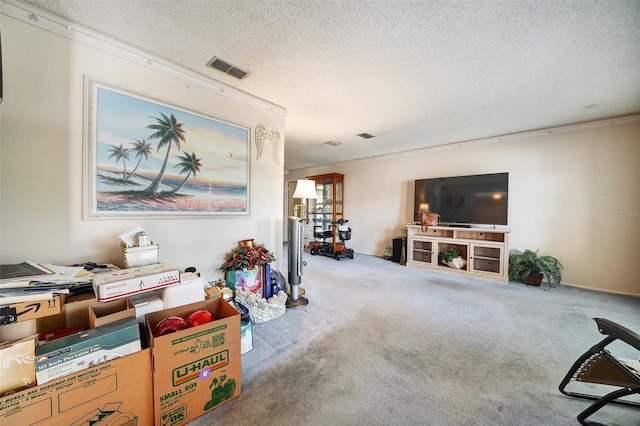 2817 Rustic Oaks Dr, Palm Harbor, FL 34684 - carpeted living room with a textured ceiling