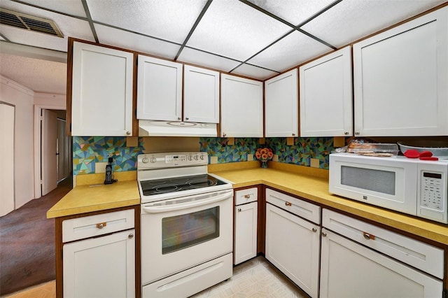 2817 Rustic Oaks Dr, Palm Harbor, FL 34684 - kitchen featuring white appliances, under cabinet range hood, light countertops, and a drop ceiling