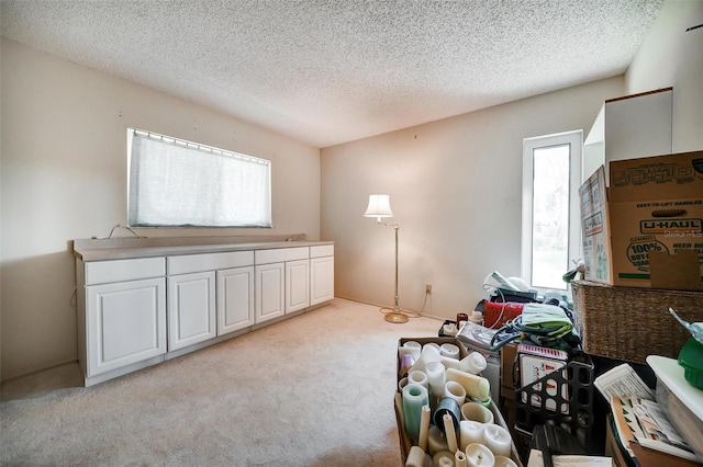 2817 Rustic Oaks Dr, Palm Harbor, FL 34684 - sitting room with light carpet and a textured ceiling
